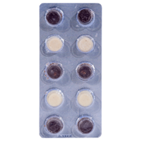 Shrumfuzed Trippy Nootropic Blendz Mushroom Gummies 10 pack